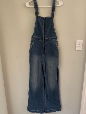 Sneak Peek Denim Zip-Front Overalls in Blue